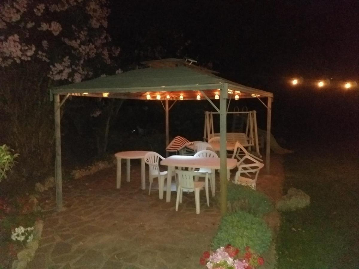 Garden Basement - Seminterrato Max 4 Ospiti - Vicino Aeroporto E Fiera Apartamento *