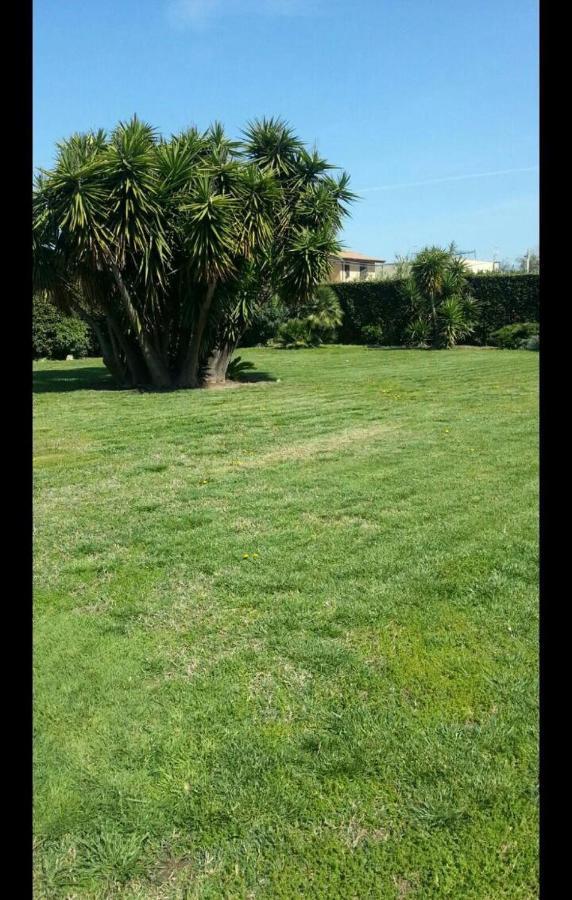 Garden Basement - Seminterrato Max 4 Ospiti - Vicino Aeroporto E Fiera *