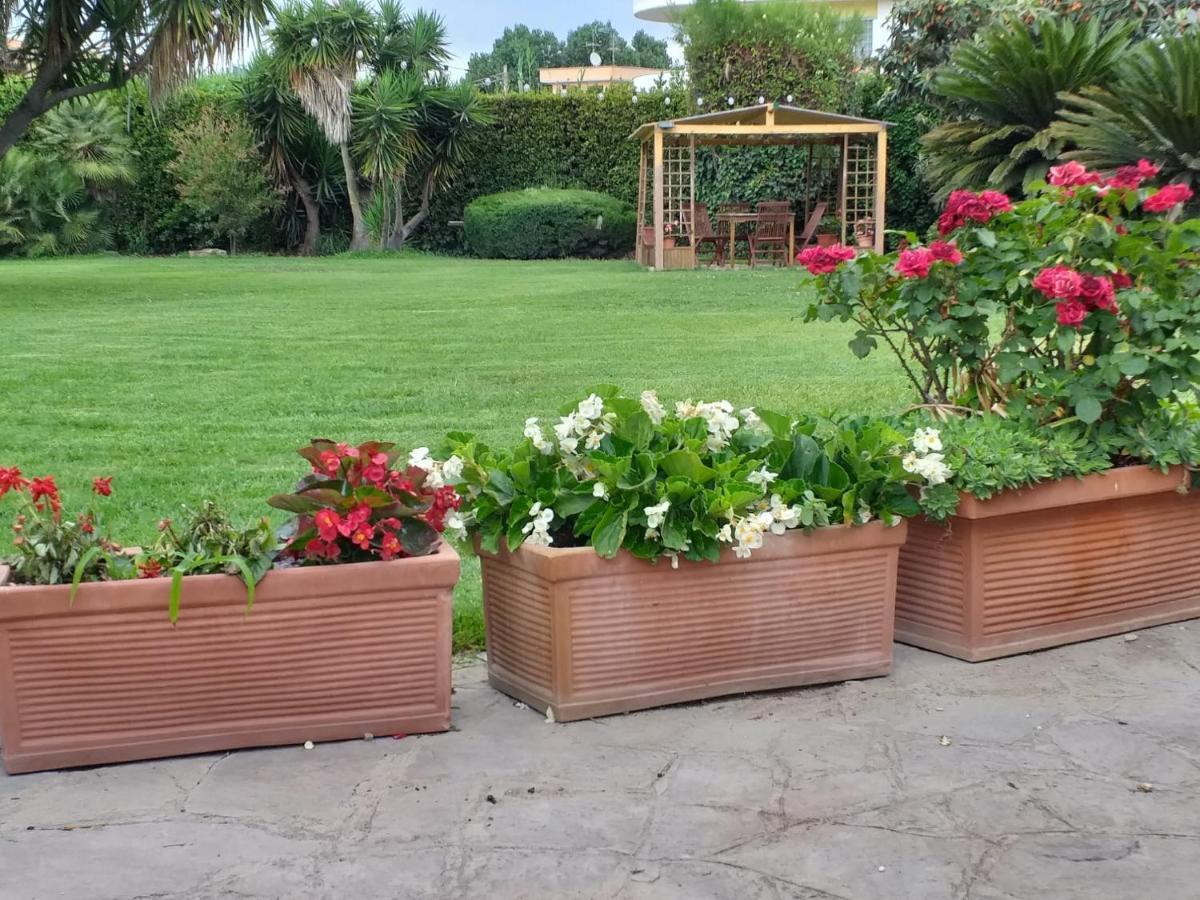 Garden Basement - Seminterrato Max 4 Ospiti - Vicino Aeroporto E Fiera *